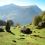 Fluehbluemli - Eigerview By Interhome Apartment *