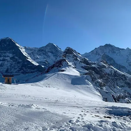 Apartment Fluehbluemli - Eigerview By Interhome Grindelwald