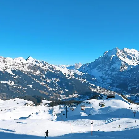 Fluehbluemli - Eigerview By Interhome Apartment