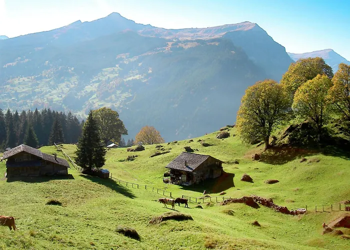 Fluehbluemli - Eigerview By Interhome Apartment *