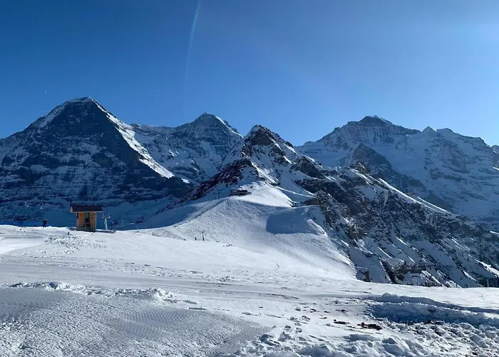 アパート Fluehbluemli - Eigerview By Interhome グリンデルヴァルト